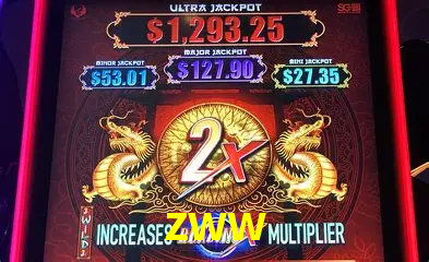 Explore as vantagens do zww: serviço profissional e confiabilidade